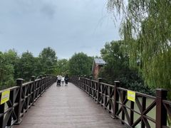-自然谷恐龙园