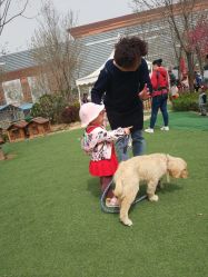 -萌宠亲子动物乐园(槐房万达店)