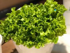生菜-韩宫宴烤肉·料理(苏州中心店)