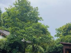 -杭州半山国家森林公园