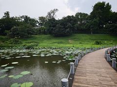-国恩寺