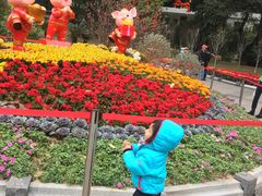 -晓港公园