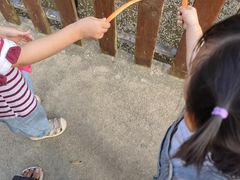 -泉州海丝野生动物世界