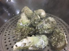 -蚝专家(北滘店)