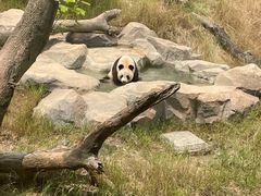 -宁波野生动物园