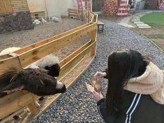 -HERRE·FARM 赫尔露营农场·团建聚会包场