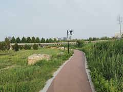 -水西公园