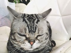 -小时光咖啡馆(北锣鼓巷店)