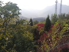 -蓟州溶洞风景区
