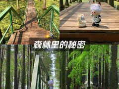 -渌洋湖湿地公园