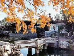 -八大山人梅湖景区