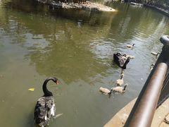 -昆明动物园