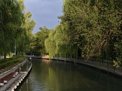 -皇家御河游(紫御湾码头)