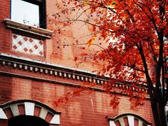 -北京动物园-畅观楼