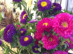 -Jo's Garden