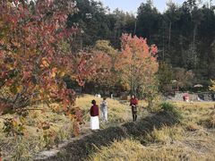 -塔川景区