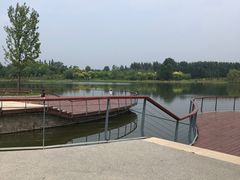 -东郊湿地公园
