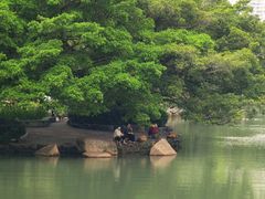 -荔枝公园(福田区)