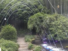 -杭州黄龙洞