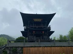 -大唐贡茶院