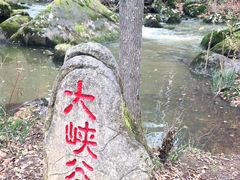 -茅兰沟国家森林公园