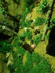 -酷嗒动物文化乐园(cutezoo西溪乐天城店)