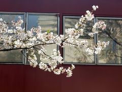 -新天地活力PARK