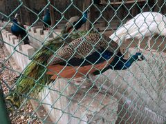 -南京金牛湖风景区