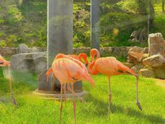 -沈阳森林动物园