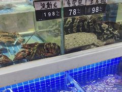 -大众海鲜(巨龙北路店)