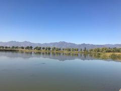 -野鸭湖国家湿地公园