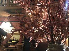 -耍酒馆(金沙店)