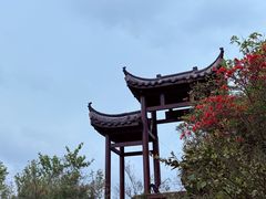 -大围山国家森林公园