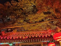 -白家大院·王府宫廷菜(苏州街店)