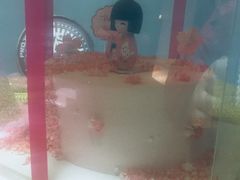 -Joy's Wish创意蛋糕定制&甜品台(乐虹坊精致生活广场店)