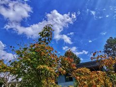 -磐安舞龙峡景区