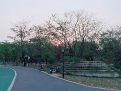 -东莞植物园