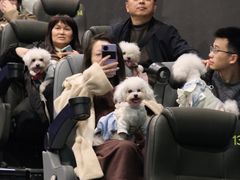 -龙湖成都上城天街