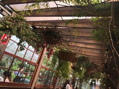 -The Grounds of Alexandria