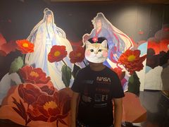 -IPSTAR·潮玩星球·主题店(上海店)