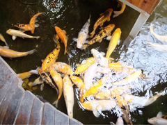 iphone_upload_pic-上海大自然野生昆虫馆