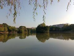 -金桥现代产业园区-停车场