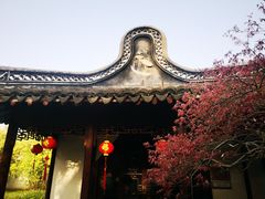 -上海醉白池公园