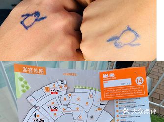 新西兰基督城国际南极中心旅游攻略