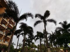 -三亚亚龙湾红树林度假酒店
