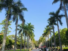 -厦门大学(思明校区)