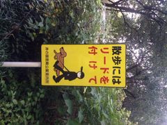 iphone_upload_pic-井之头恩赐公园