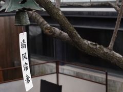 -苏州本色美术馆