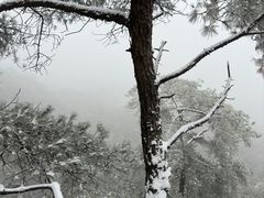 -缙云山景区