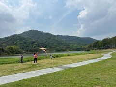 -风云岭森林公园